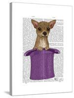 Chihuahua in Top Hat-Fab Funky-Stretched Canvas