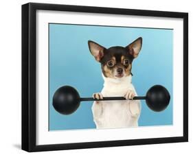 Chihuahua Lifting Weights-null-Framed Photographic Print