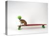 Chihuahua on a Skateboard-Chris Rogers-Stretched Canvas