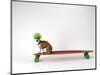 Chihuahua on a Skateboard-Chris Rogers-Mounted Premium Photographic Print