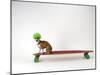 Chihuahua on a Skateboard-Chris Rogers-Mounted Premium Photographic Print