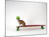 Chihuahua on a Skateboard-Chris Rogers-Mounted Photographic Print