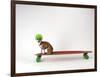 Chihuahua on a Skateboard-Chris Rogers-Framed Photographic Print