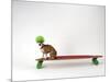 Chihuahua on a Skateboard-Chris Rogers-Mounted Photographic Print