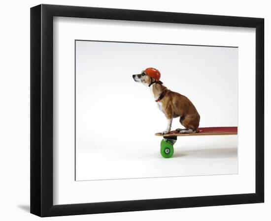 Chihuahua on a Skateboard-Chris Rogers-Framed Photographic Print