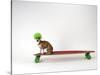 Chihuahua on a Skateboard-Chris Rogers-Stretched Canvas