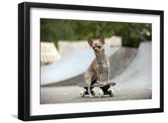 Premium Photographic Print, , large