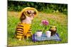 Chihuahua Picnic In Summer Garden-vitalytitov-Mounted Photographic Print