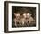 Chihuahua Puppies-DLILLC-Framed Photographic Print