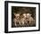 Chihuahua Puppies-DLILLC-Framed Photographic Print