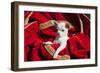 Chihuahua Puppy Surrounded in Red and Gold-Zandria Muench Beraldo-Framed Photographic Print