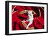 Chihuahua Puppy Surrounded in Red and Gold-Zandria Muench Beraldo-Framed Photographic Print