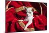 Chihuahua Puppy Surrounded in Red and Gold-Zandria Muench Beraldo-Mounted Photographic Print