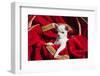 Chihuahua Puppy Surrounded in Red and Gold-Zandria Muench Beraldo-Framed Photographic Print