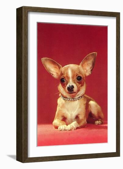 Chihuahua, Retro-null-Framed Art Print