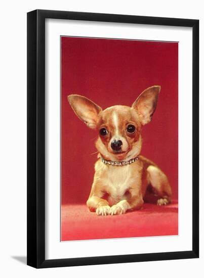 Chihuahua, Retro-null-Framed Art Print