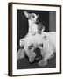 Chihuahua Seated on a Bulldog-Bettmann-Framed Photographic Print