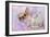 Chihuahua Wearing Pink Collar Laying on Purple-null-Framed Photographic Print