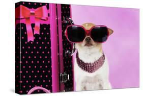Chihuahua Wearing Sunglasses with Girly Props-null-Stretched Canvas