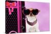 Chihuahua Wearing Sunglasses with Girly Props-null-Stretched Canvas