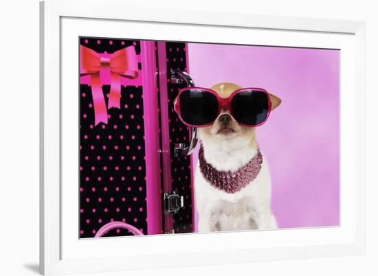 Chihuahua Wearing Sunglasses with Girly Props-null-Framed Photographic Print