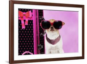 Chihuahua Wearing Sunglasses with Girly Props-null-Framed Photographic Print