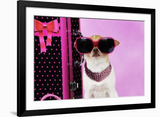 Chihuahua Wearing Sunglasses with Girly Props-null-Framed Photographic Print