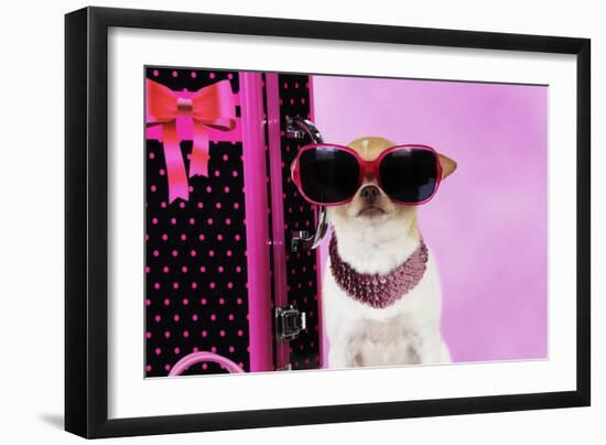 Chihuahua Wearing Sunglasses with Girly Props-null-Framed Photographic Print