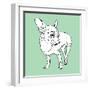 Chihuahua-Anna Nyberg-Framed Art Print