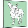 Chihuahua-Anna Nyberg-Mounted Art Print