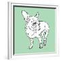 Chihuahua-Anna Nyberg-Framed Giclee Print