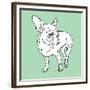 Chihuahua-Anna Nyberg-Framed Giclee Print