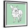 Chihuahua-Anna Nyberg-Framed Giclee Print