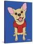 Chihuahua-Tomoyo Pitcher-Stretched Canvas