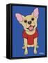 Chihuahua-Tomoyo Pitcher-Framed Stretched Canvas