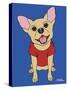 Chihuahua-Tomoyo Pitcher-Stretched Canvas