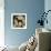 Chihuahua-Karen Williams-Framed Giclee Print displayed on a wall