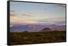 Chihuahuan Desert sunset.-Larry Ditto-Framed Stretched Canvas