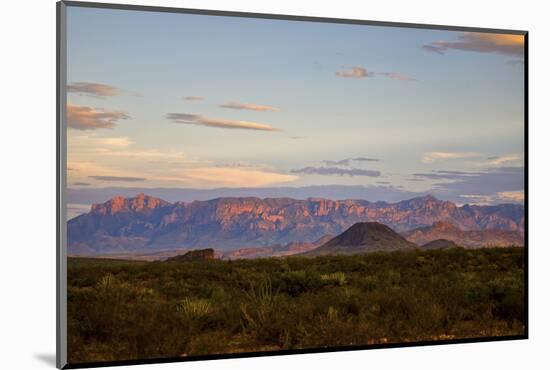 Chihuahuan Desert sunset.-Larry Ditto-Mounted Photographic Print