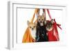 Chihuahuas in Handbags-null-Framed Photographic Print