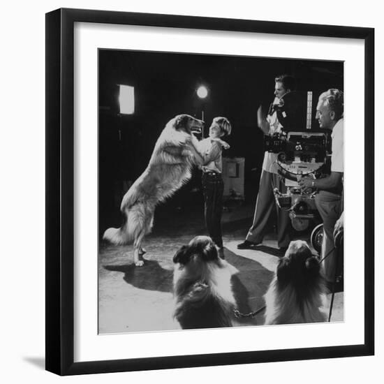 Child Actor Tommy Ruddick, Acting on TV Program with Lassie-null-Framed Premium Photographic Print