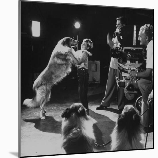 Child Actor Tommy Ruddick, Acting on TV Program with Lassie-null-Mounted Premium Photographic Print