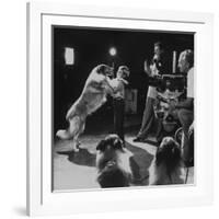 Child Actor Tommy Ruddick, Acting on TV Program with Lassie-null-Framed Premium Photographic Print