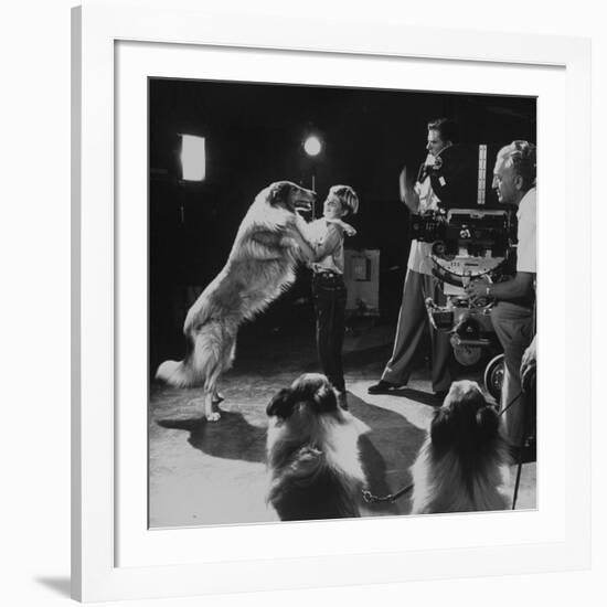 Child Actor Tommy Ruddick, Acting on TV Program with Lassie-null-Framed Premium Photographic Print