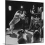 Child Actor Tommy Ruddick, Acting on TV Program with Lassie-null-Mounted Premium Photographic Print