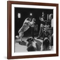 Child Actor Tommy Ruddick, Acting on TV Program with Lassie-null-Framed Premium Photographic Print