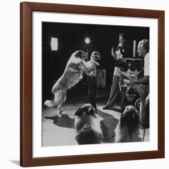 Child Actor Tommy Ruddick, Acting on TV Program with Lassie-null-Framed Premium Photographic Print