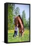 Child and Bay Horse in Field-Alexia Khruscheva-Framed Stretched Canvas