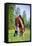 Child and Bay Horse in Field-Alexia Khruscheva-Framed Stretched Canvas