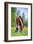 Child and Bay Horse in Field-Alexia Khruscheva-Framed Photographic Print